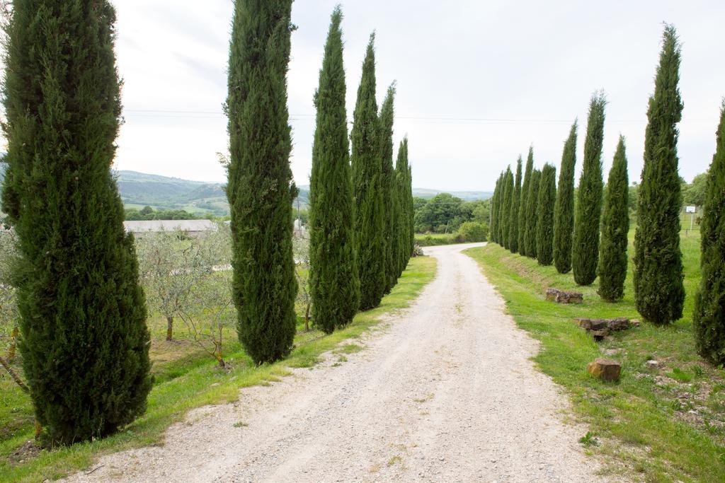 Podere Il Tigliolo Castiglione d'Orcia Luaran gambar