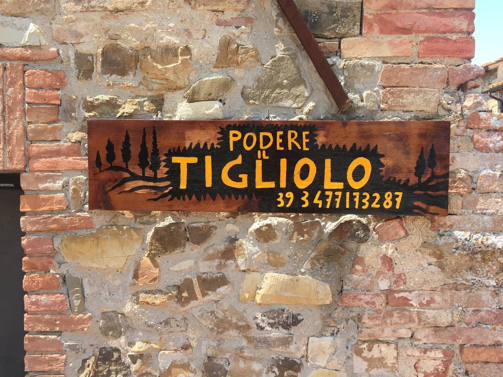 Podere Il Tigliolo Castiglione d'Orcia Luaran gambar