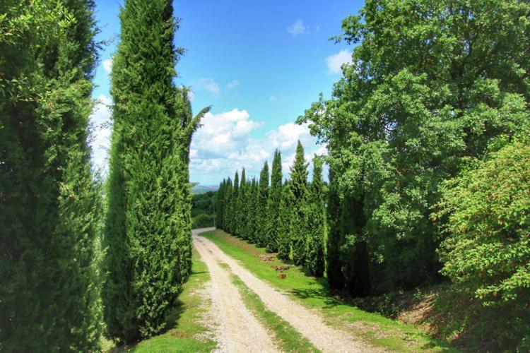 Podere Il Tigliolo Castiglione d'Orcia Luaran gambar